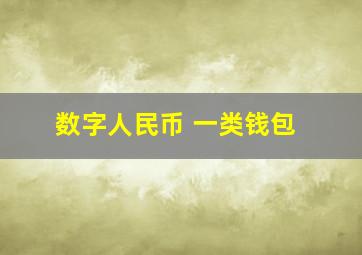 数字人民币 一类钱包